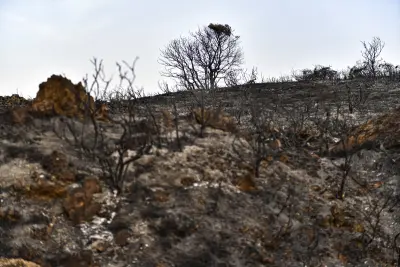 Calor extremo de até 50ºC deixa rastro de prejuízos na Europa, Ásia e Estados Unidos; veja FOTOS e entenda