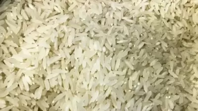 Governo Lula importa arroz para vender com marca própria e preço fixado