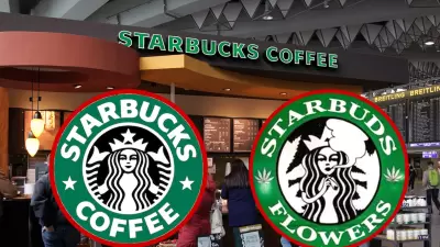 Starbucks processa Starbuds Flowers e alega cópia de logotipo de empresa de maconha - The Bongtimes