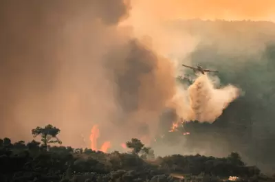 Incêndios na Madeira: 80 bombeiros da Força Especial chegam para reforçar o combate